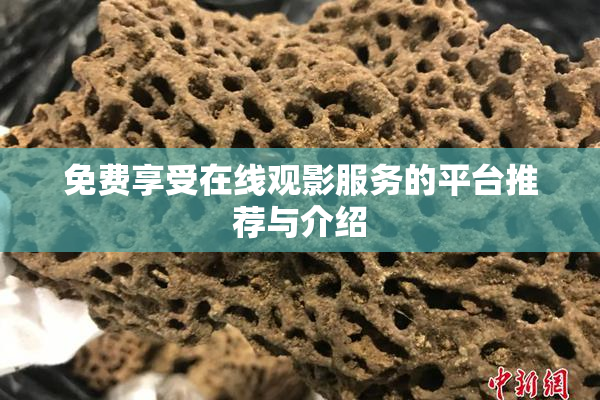 免费享受在线观影服务的平台推荐与介绍