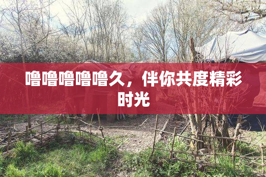 噜噜噜噜噜久，伴你共度精彩时光