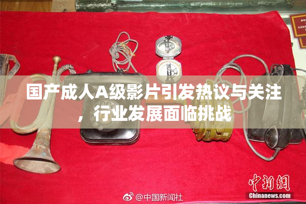 国产成人A级影片引发热议与关注，行业发展面临挑战
