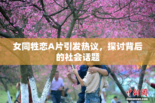 女同牲恋A片引发热议，探讨背后的社会话题