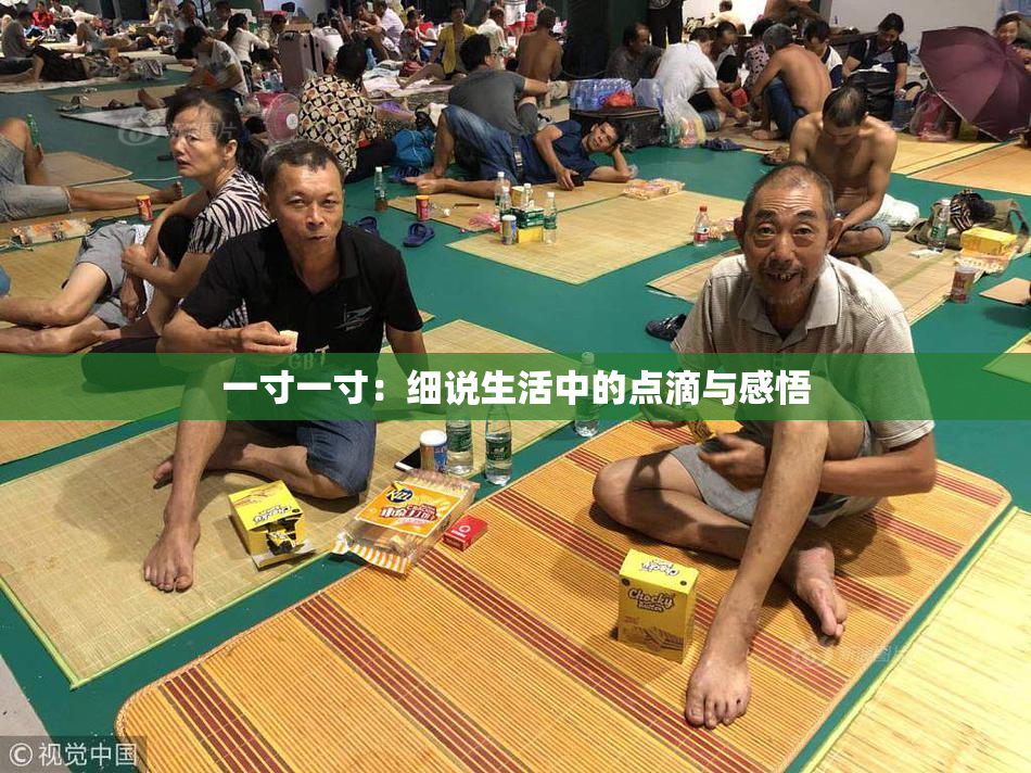 一寸一寸：细说生活中的点滴与感悟