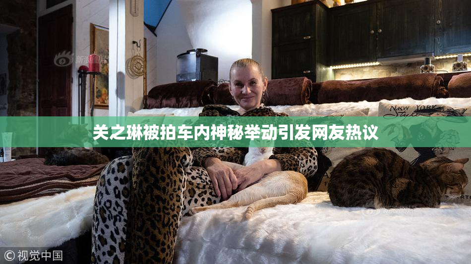 关之琳被拍车内神秘举动引发网友热议
