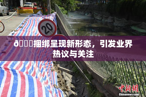 🔞捆绑呈现新形态，引发业界热议与关注