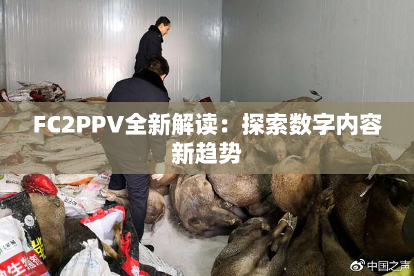 FC2PPV全新解读：探索数字内容新趋势
