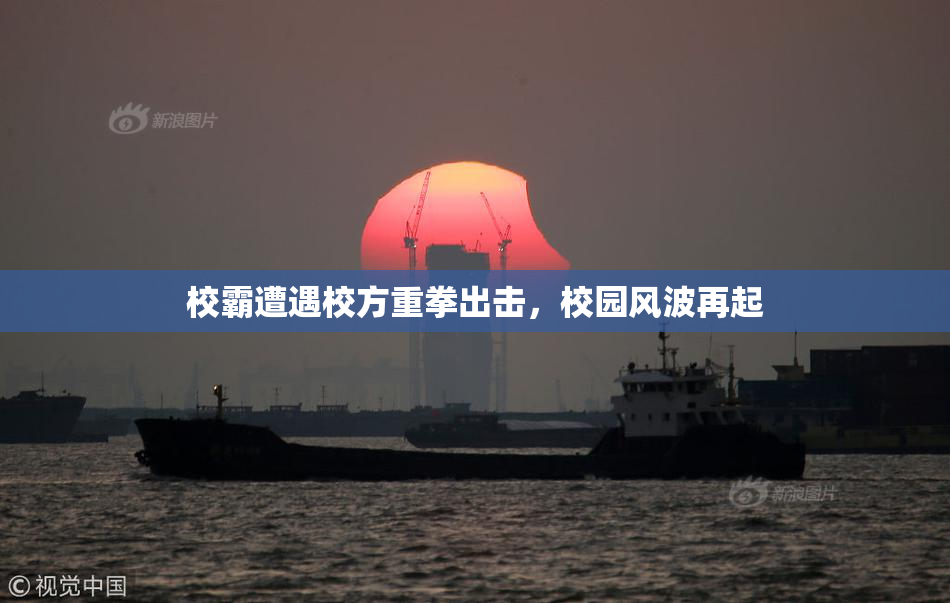 校霸遭遇校方重拳出击，校园风波再起