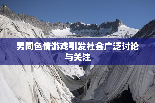 男同色情游戏引发社会广泛讨论与关注