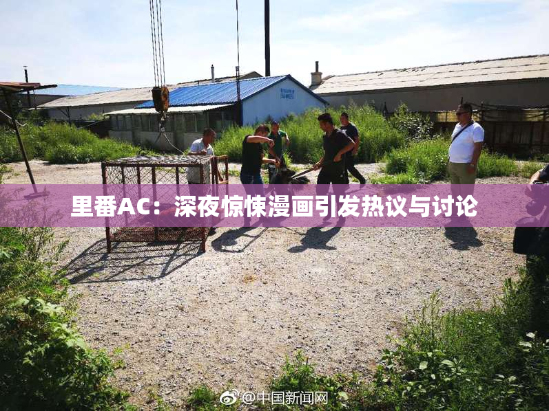 里番AC：深夜惊悚漫画引发热议与讨论