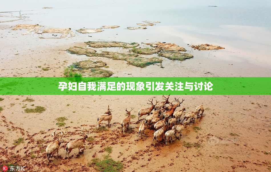 孕妇自我满足的现象引发关注与讨论