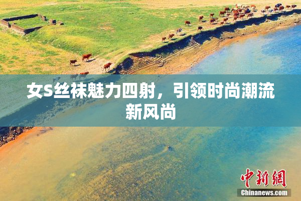 女S丝袜魅力四射，引领时尚潮流新风尚