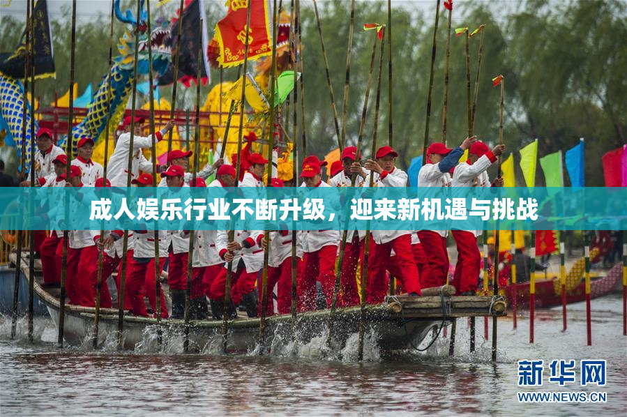 成人娱乐行业不断升级，迎来新机遇与挑战