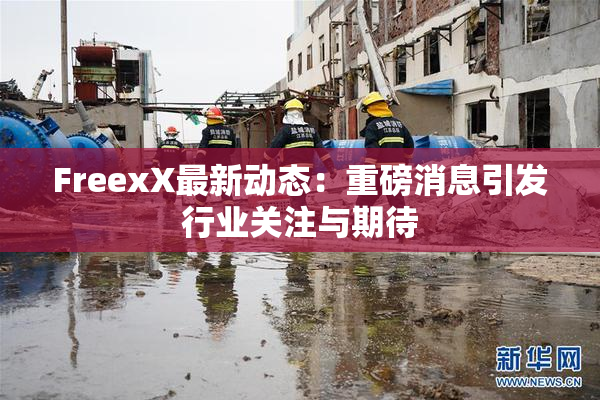 FreexX最新动态：重磅消息引发行业关注与期待