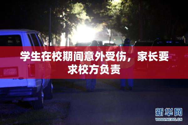 学生在校期间意外受伤，家长要求校方负责