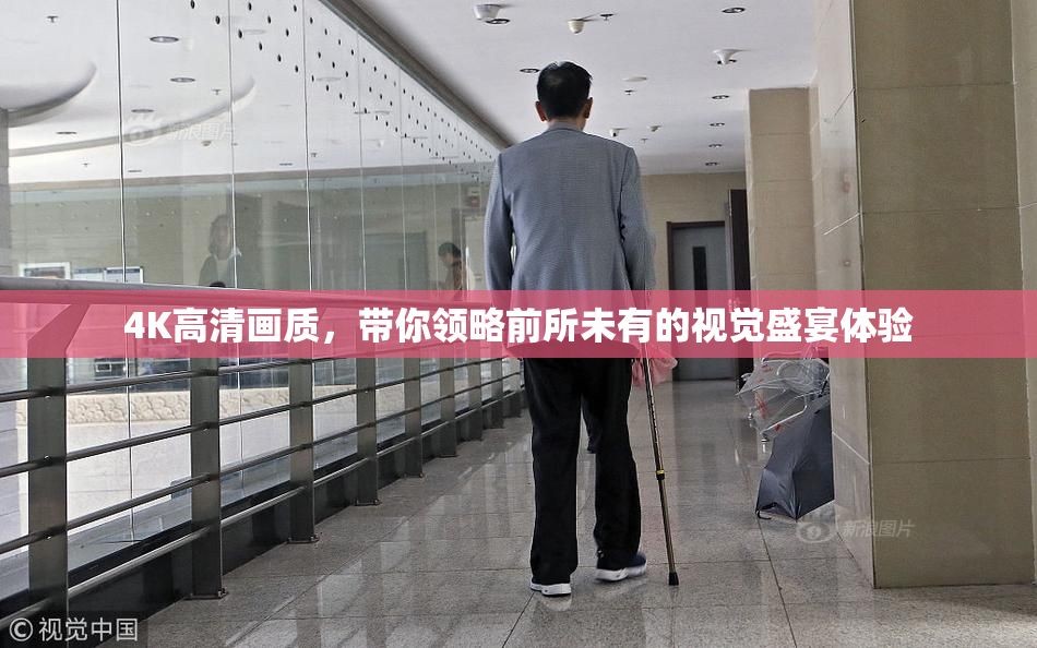 4K高清画质，带你领略前所未有的视觉盛宴体验