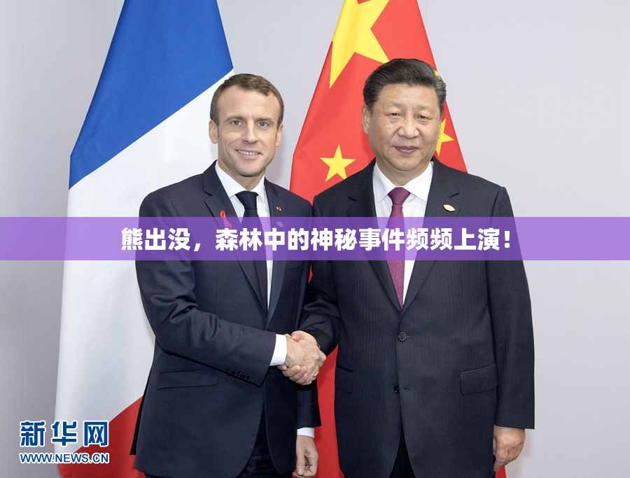 熊出没，森林中的神秘事件频频上演！