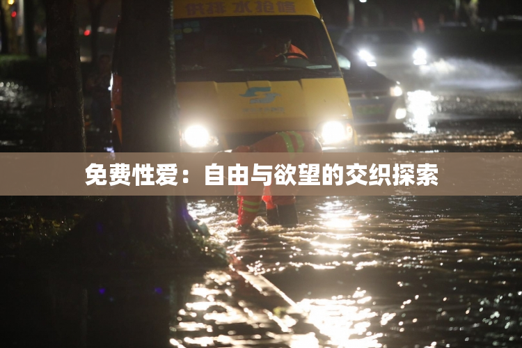 免费性爱：自由与欲望的交织探索