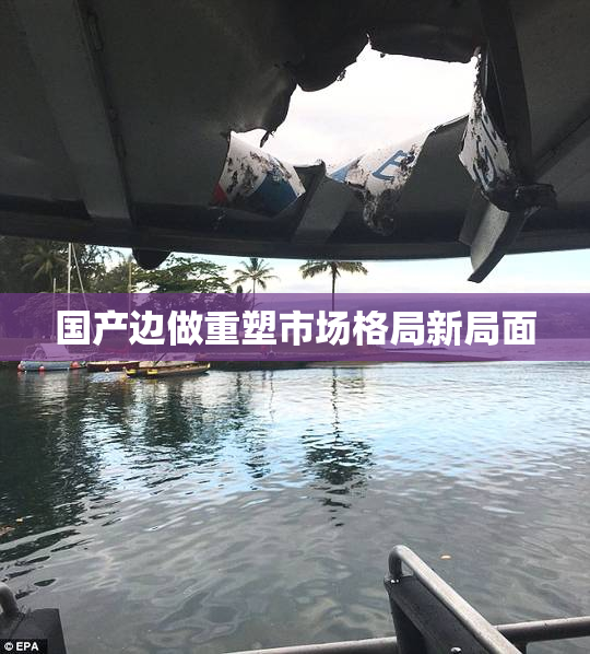国产边做重塑市场格局新局面
