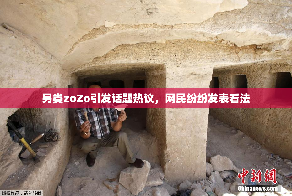 另类zoZo引发话题热议，网民纷纷发表看法