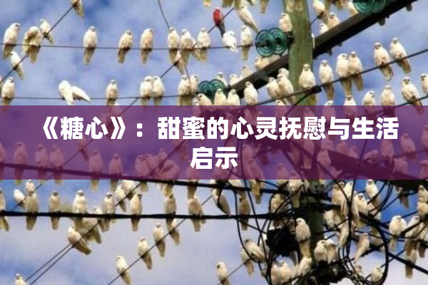 《糖心》：甜蜜的心灵抚慰与生活启示