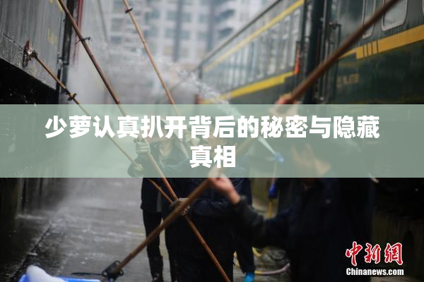 少萝认真扒开背后的秘密与隐藏真相