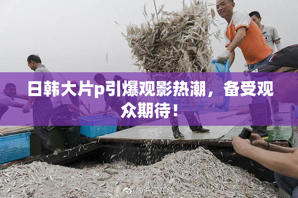 日韩大片p引爆观影热潮，备受观众期待！