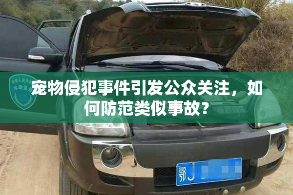 宠物侵犯事件引发公众关注，如何防范类似事故？