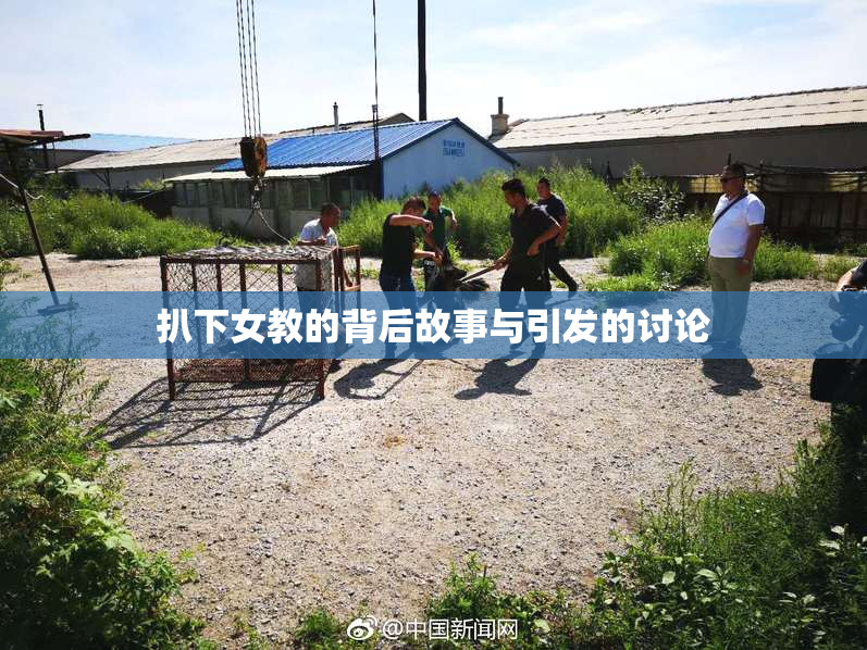扒下女教的背后故事与引发的讨论
