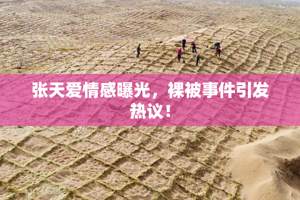 张天爱情感曝光，裸被事件引发热议！