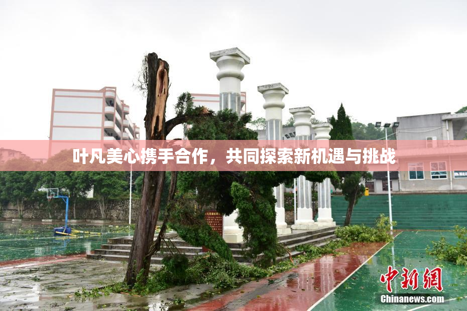 叶凡美心携手合作，共同探索新机遇与挑战