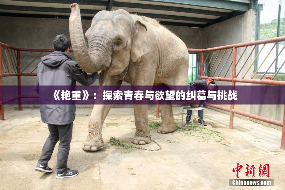 《艳重》：探索青春与欲望的纠葛与挑战