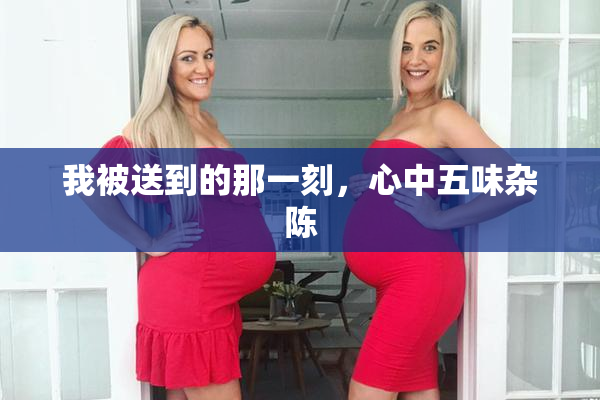 我被送到的那一刻，心中五味杂陈