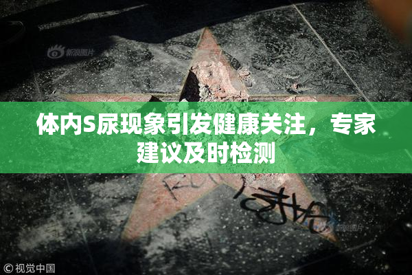 体内S尿现象引发健康关注，专家建议及时检测