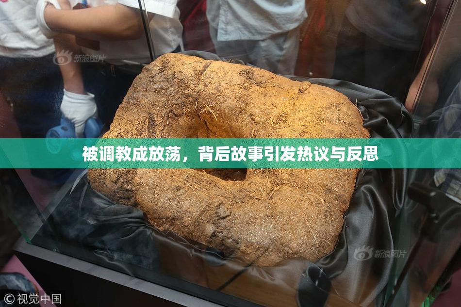 被调教成放荡，背后故事引发热议与反思