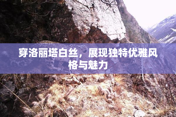 穿洛丽塔白丝，展现独特优雅风格与魅力