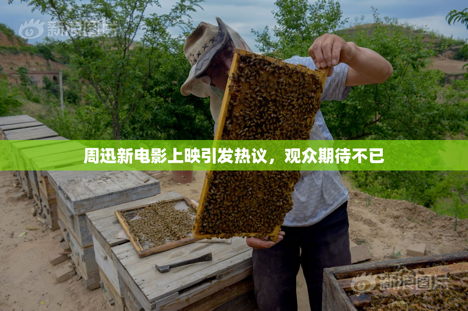 周迅新电影上映引发热议，观众期待不已