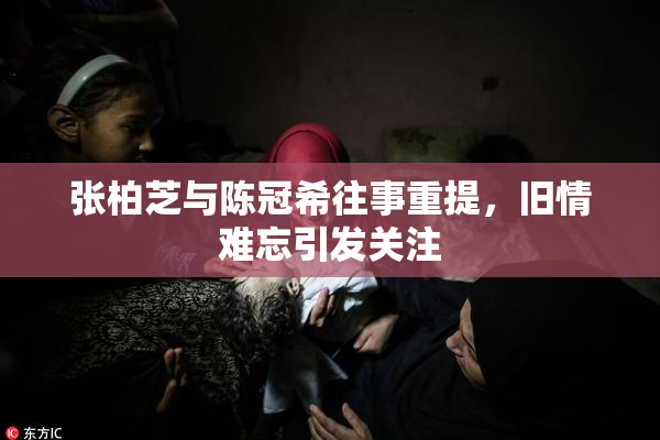 张柏芝与陈冠希往事重提，旧情难忘引发关注