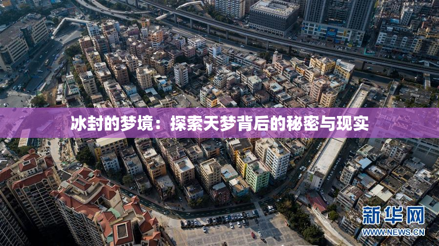 冰封的梦境：探索天梦背后的秘密与现实