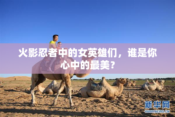 火影忍者中的女英雄们，谁是你心中的最美？