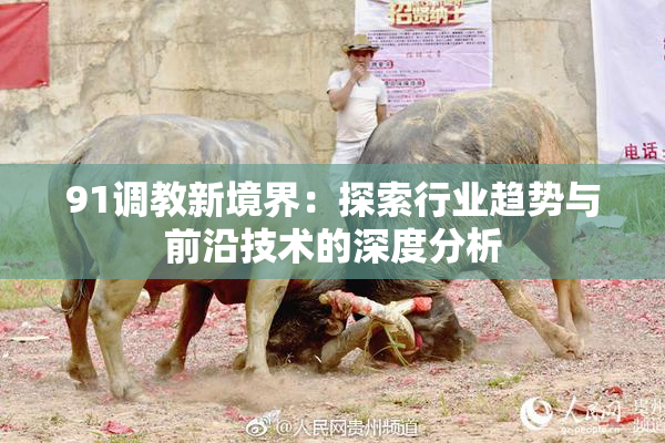 91调教新境界：探索行业趋势与前沿技术的深度分析