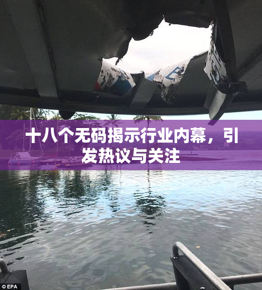 十八个无码揭示行业内幕，引发热议与关注