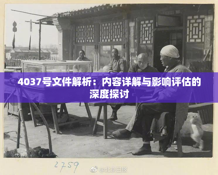 4037号文件解析：内容详解与影响评估的深度探讨