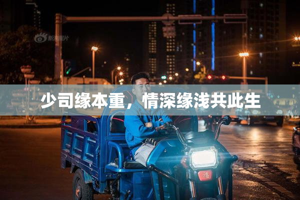 少司缘本重，情深缘浅共此生