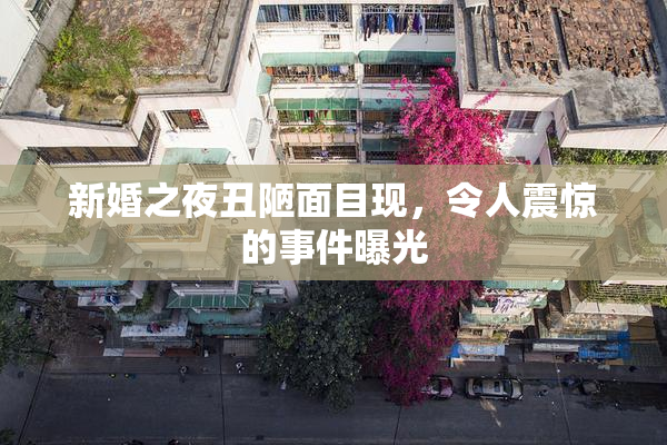 新婚之夜丑陋面目现，令人震惊的事件曝光