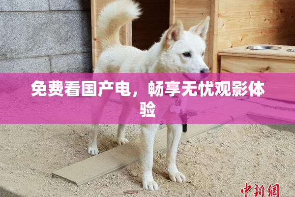 免费看国产电，畅享无忧观影体验