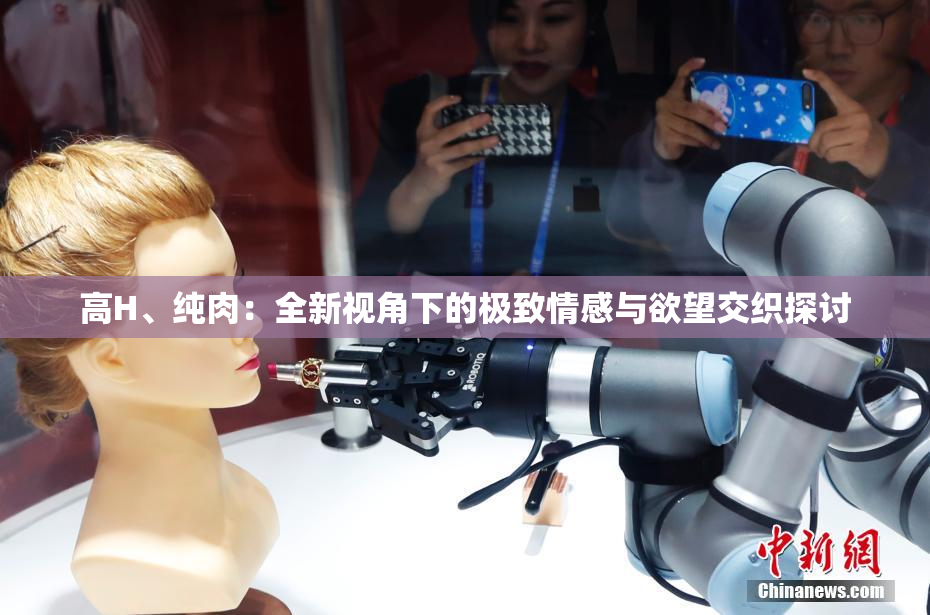 高H、纯肉：全新视角下的极致情感与欲望交织探讨