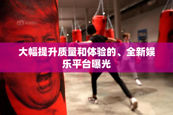 大幅提升质量和体验的、全新娱乐平台曝光