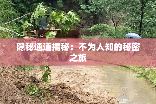 隐秘通道揭秘：不为人知的秘密之旅