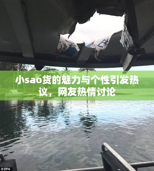 小sao货的魅力与个性引发热议，网友热情讨论