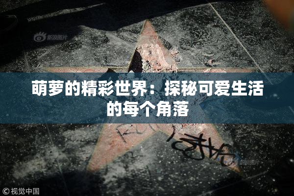 萌萝的精彩世界：探秘可爱生活的每个角落