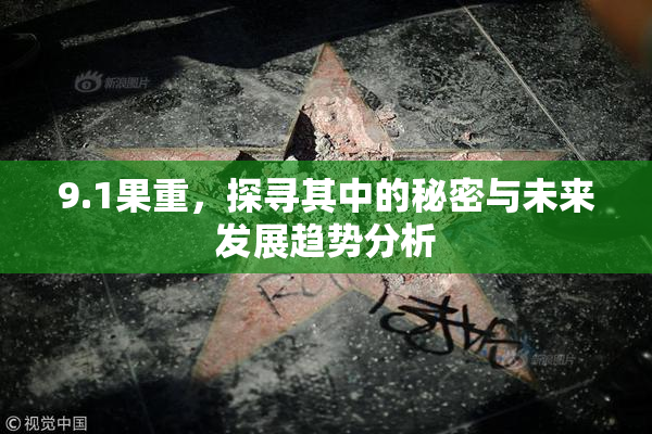9.1果重，探寻其中的秘密与未来发展趋势分析