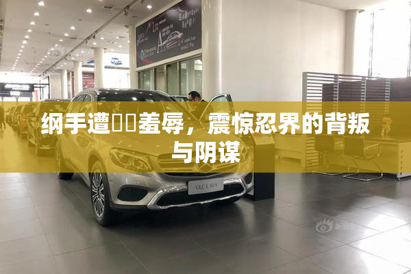 纲手遭❌‌羞辱，震惊忍界的背叛与阴谋